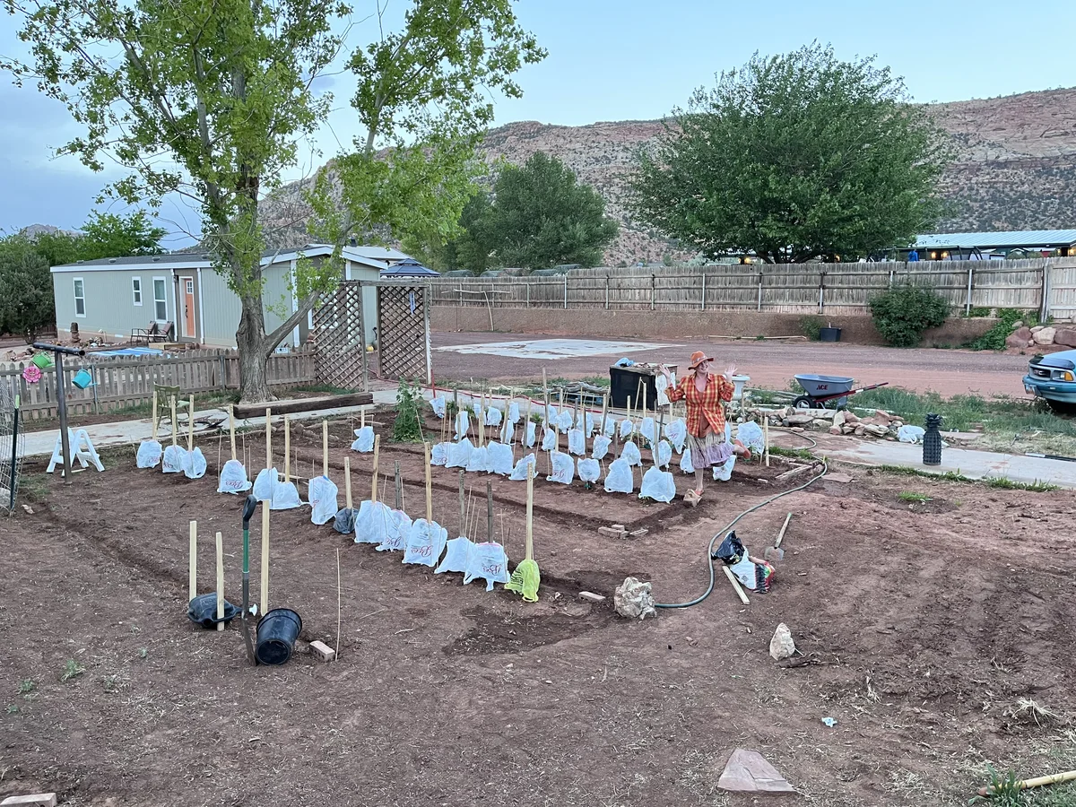 When You're Fighting to Keep Your Garden Alive, and All You Have Are Bee's Grocery Bags (It Worked)